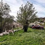בית נופש 'perithyron', Konstantina's House, Old Perithia - An Authentic Stone Retreat In Corfu's Historic Village Ypsilas