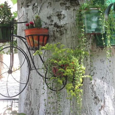 'perithyron', Konstantina's House, Old Perithia - An Authentic Stone Retreat In Corfu's Historic Village * Ypsilas